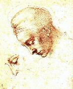 Study of a Head, Michelangelo Buonarroti
